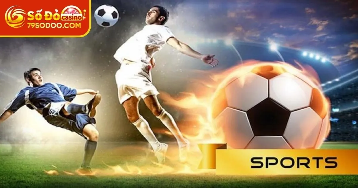 Về A - Sports 79Sodo