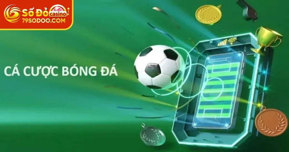 Đôi nét về bóng đá 79Sodo