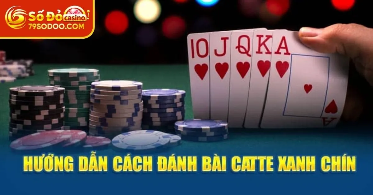 Luật chơi bài Catte 79Sodo cho người mới