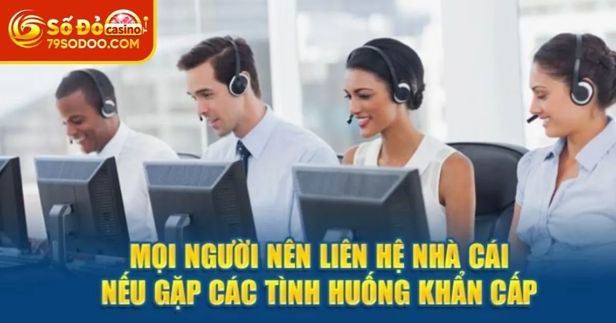Những trường hợp nào cần liên hệ 79Sodo?